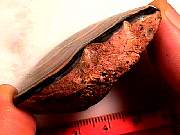 rough_onyx-flower9-10_01-05.jpg