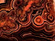 rough_onyx-flower9-10_02-01.jpg