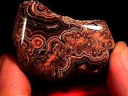 rough_onyx-flower9-10_02-02.jpg