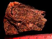 rough_onyx-flower9-10_02-03.jpg