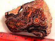 rough_onyx-flower9-10_02-04.jpg