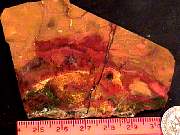 rough_wood-marston9-10_01-03.jpg