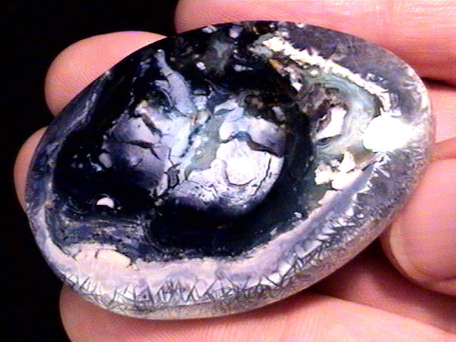 cab_opal-fluorite3-14_03_02.jpg