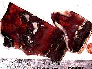 rough_agate-flame7-10_01-2.jpg