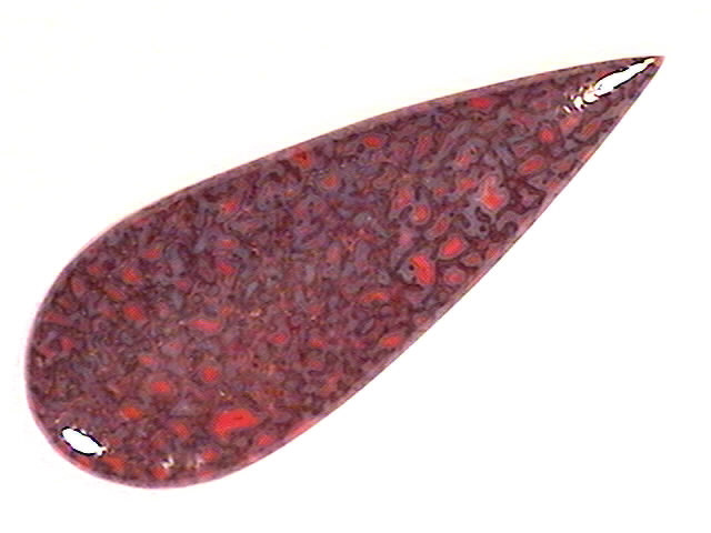 cab_dinobone8-7_01-2.jpg