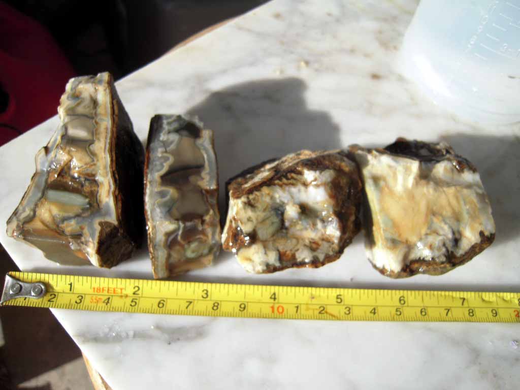DSCN2426.JPG