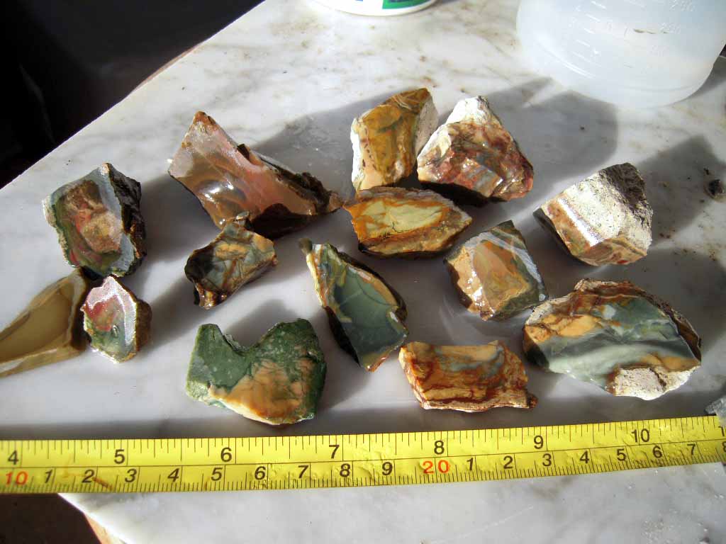 DSCN2455.JPG