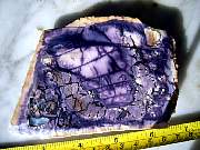 DSCN2418.JPG