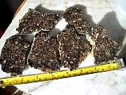 DSCN2440.JPG