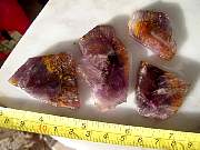 DSCN2459.JPG