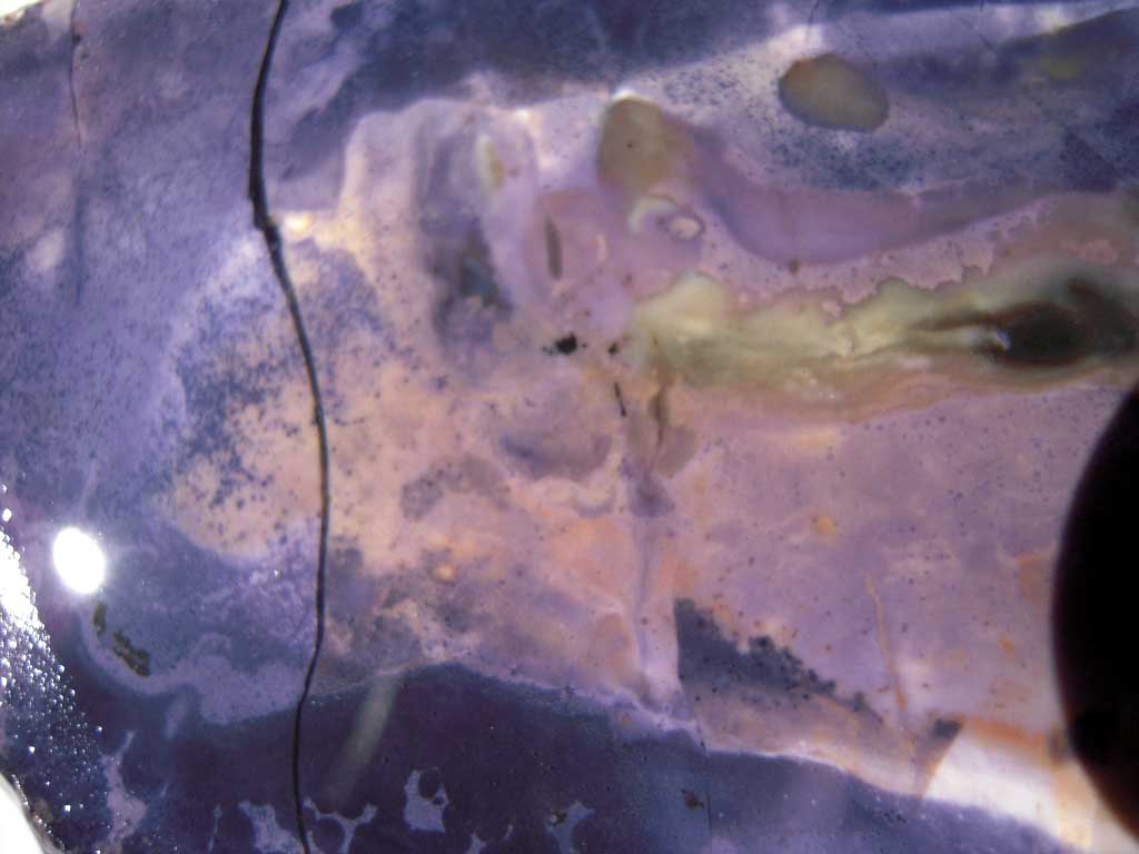 DSCN2576.JPG