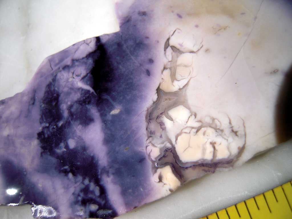 DSCN2601.JPG