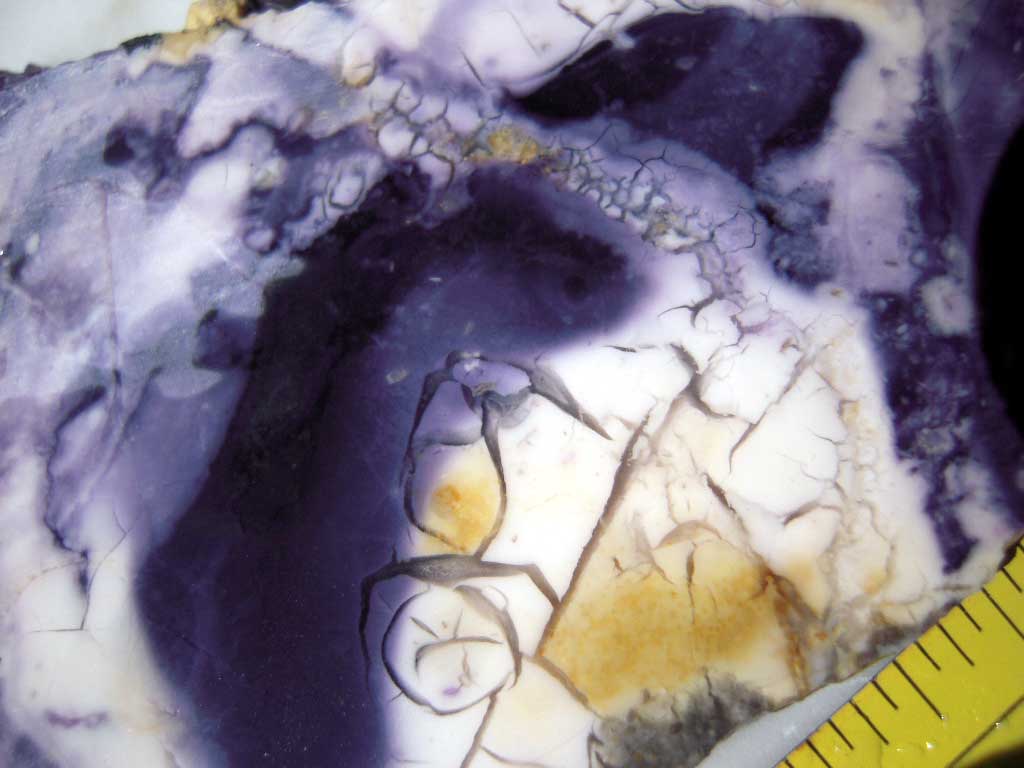 DSCN2607.JPG