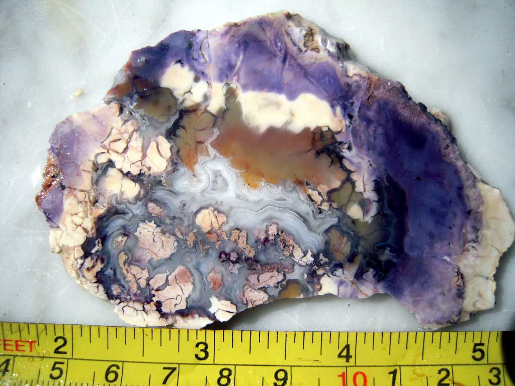 DSCN2609.JPG