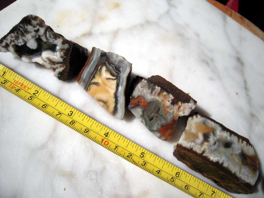 DSCN2659.JPG