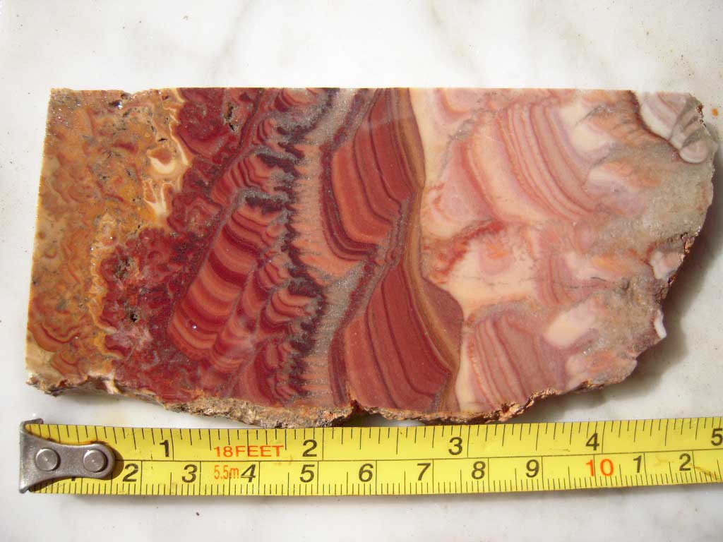DSCN2712.JPG