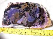 DSCN2569.JPG