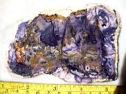 DSCN2577.JPG