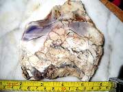 DSCN2582.JPG