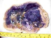 DSCN2587.JPG