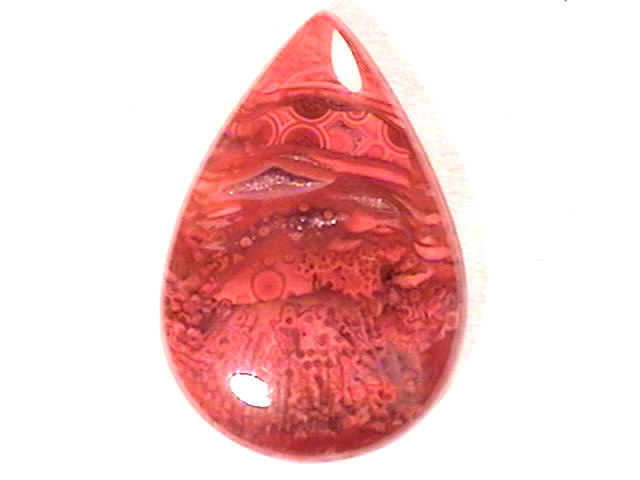 cab_coral-redhorn11-20_01-01.jpg