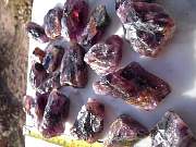 DSCN3551.JPG