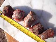 DSCN3559.JPG