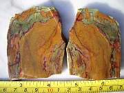 DSCN3576.JPG