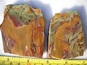DSCN3577.JPG