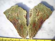 DSCN3579.JPG