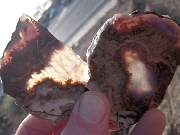DSCN3591.JPG