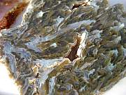 DSCN3595.JPG