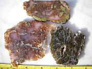DSCN3596.JPG