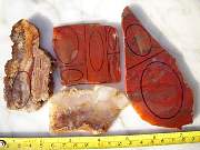 DSCN3598.JPG