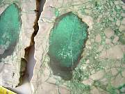 DSCN3610.JPG
