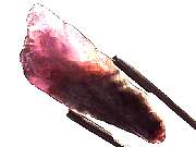 mineral_cocoxenitewand1-11_01-5.jpg