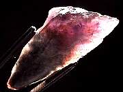 mineral_cocoxenitewand1-11_01-6.jpg