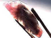 mineral_cocoxenitewand1-11_02-5.jpg