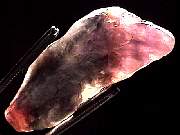 mineral_cocoxenitewand1-11_02-6.jpg
