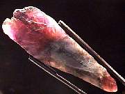 mineral_cocoxenitewand1-11_03-6.jpg