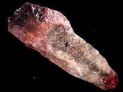 mineral_cocoxenitewand1-11_04-1.jpg