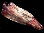 mineral_cocoxenitewand1-11_05-1.jpg