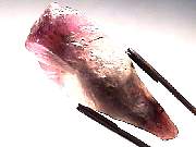 mineral_cocoxenitewand1-11_07-5.jpg