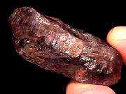 mineral_cocoxenitewand1-11_09-3.jpg