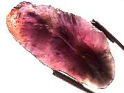 mineral_cocoxenitewand1-11_10-1.jpg