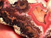polished_agate-laguna1-11_01-2.jpg
