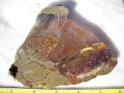 DSCN3637.JPG