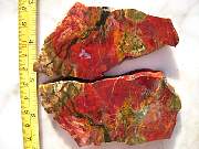 DSCN3648.JPG