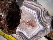 DSCN3670.JPG