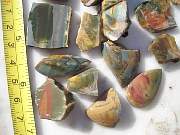 DSCN3675.JPG